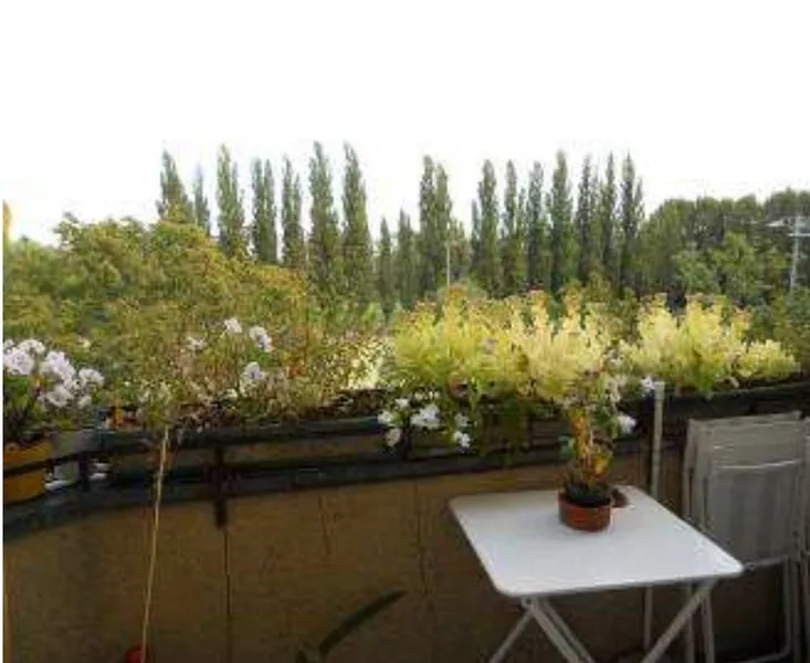 Jugendstil Altbau Perle, TOP Grundriss , Fernw. , EBK, Loggia, 10 Min. U6 bis Friedrichstr. — photo 1